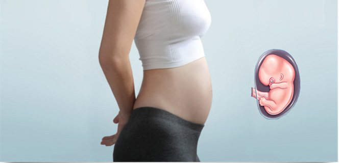 Hamileliğin 2. Ayında Annedeki Değişim ve Aya Özgü Beslenme Önerileri
