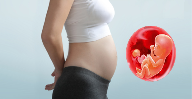 Hamileliğin 3. Ayında Annedeki Değişim ve Aya Özgü Beslenme Önerileri