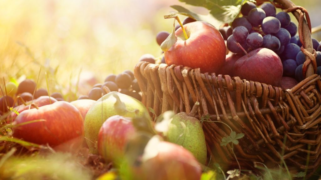 Eylül Ayında Nasıl Beslenmeliyiz? -  - Sonbahar, Sağlıklı Beslenme, Online Diyet, Eylül Ayı, Doğal Besinler, Diyet Programı